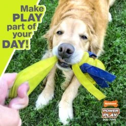 Nylabone Power Play Tennis Teddy Gripz Dog Toy -Dog Supplies 329495 PT3. AC SS1800 V1685650853