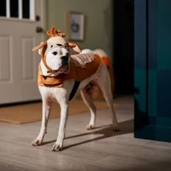 Frisco Deer Dog & Cat Costume -Dog Supplies 334874 PT7. AC SS1800 V1657720507