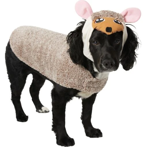 Frisco Hedgehog Dog & Cat Costume -Dog Supplies 334990 MAIN. AC SS1800 V1658348999