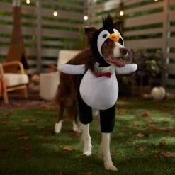 Frisco Front Walking Penguin Dog & Cat Costume -Dog Supplies 335062 PT7. AC SS1800 V1657718971