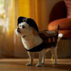 Frisco Pirate Ship Dog & Cat Costume -Dog Supplies 335078 PT7. AC SS1800 V1657656881