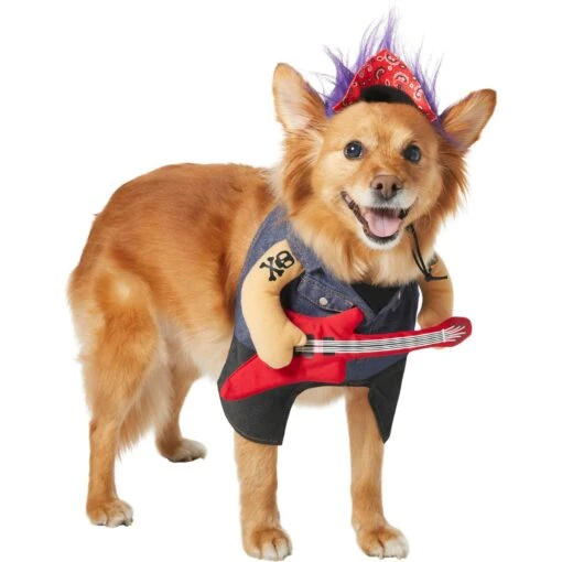 Frisco Front Walking Punk Rocker Dog & Cat Costume -Dog Supplies 335087 PT3. AC SS1800 V1658346323