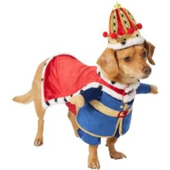 Frisco Front Walking Royal King Dog & Cat Costume -Dog Supplies 335127 PT3. AC SS1800 V1658346228