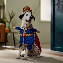 Frisco Front Walking Royal King Dog & Cat Costume -Dog Supplies 335127 PT7. AC SS1800 V1659037728