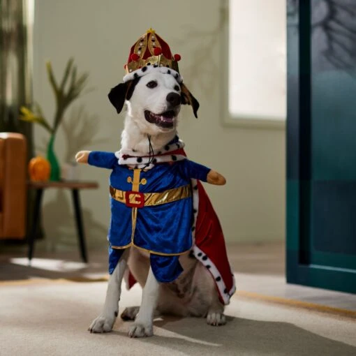 Frisco Front Walking Royal King Dog & Cat Costume -Dog Supplies 335127 PT7. AC SS1800 V1659037728