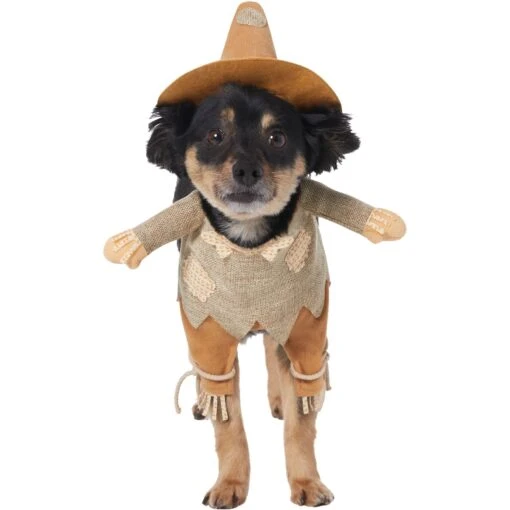 Frisco Front Walking Scarecrow Dog & Cat Costume -Dog Supplies 335135 MAIN. AC SS1800 V1658349298