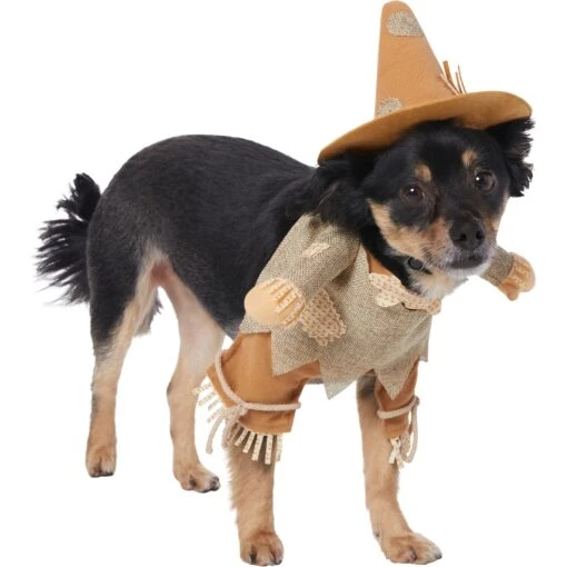 Frisco Front Walking Scarecrow Dog & Cat Costume -Dog Supplies 335135 PT3. AC SS1800 V1658349680