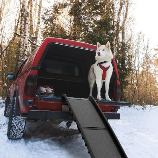 Pet Adobe Folding Car Dog Ramp -Dog Supplies 345114 PT3. AC SS1800 V1637284354