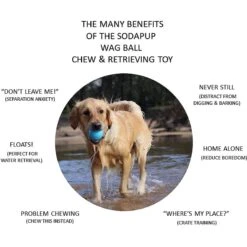 SodaPup TPE Wag Ball Chew & Retrieving Toy -Dog Supplies 347131 PT3. AC SS1800 V1638338800