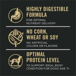 Purina Pro Plan Sensitive Skin & Stomach 7+ Salmon & Rice Formula Dry Dog Food -Dog Supplies 352987 PT7. AC SS1800 V1700689659