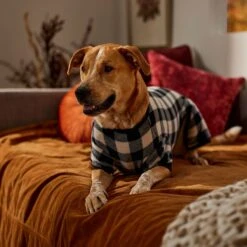 Frisco Plaid Dog & Cat Fleece Pajamas -Dog Supplies 353755 PT6. AC SS1800 V1660749967