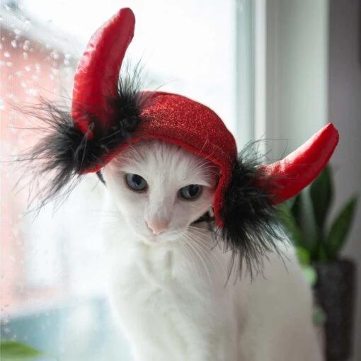 Pet Krewe Cat Devil Red Hat Dog Costume, One Size -Dog Supplies 361138 PT6. AC SS1800 V1648076522