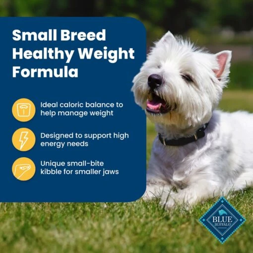 Blue Buffalo Life Protection Formula Small Breed Healthy Weight Adult Chicken & Brown Rice Recipe Dry Dog Food -Dog Supplies 361629 PT3. AC SS1800 V1704319835