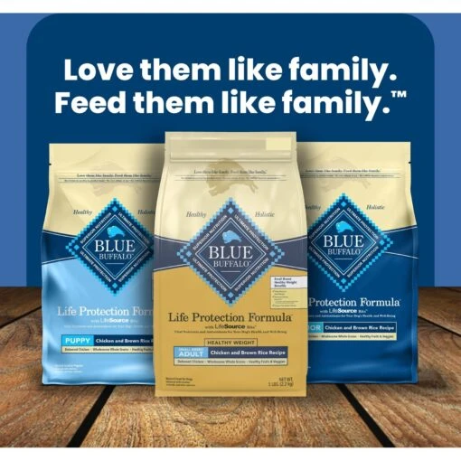 Blue Buffalo Life Protection Formula Small Breed Healthy Weight Adult Chicken & Brown Rice Recipe Dry Dog Food -Dog Supplies 361629 PT8. AC SS1800 V1704319892