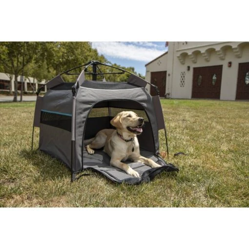 Sherpa U Pet Tent Dog Portable House, Medium, Gray -Dog Supplies 362161 PT4. AC SS1800 V1642637541