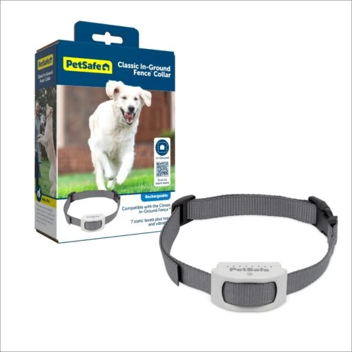 PetSafe Classic In-Ground Fence Rechargeable Receiver Dog & Cat Collar -Dog Supplies 363240 MAIN. AC SS1800 V1685628565