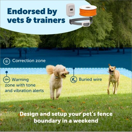 PetSafe Classic In-Ground Fence Rechargeable Receiver Dog & Cat Collar -Dog Supplies 363240 PT1. AC SS1800 V1685629501