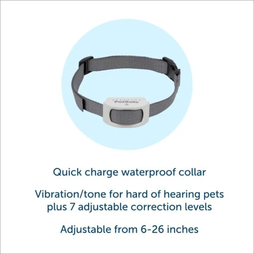 PetSafe Classic In-Ground Fence Rechargeable Receiver Dog & Cat Collar -Dog Supplies 363240 PT2. AC SS1800 V1685631999