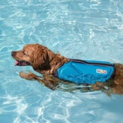 Outward Hound Dawson Swim Dog Life Jacket -Dog Supplies 367143 PT5. AC SS1800 V1645229790