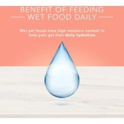 Blue Buffalo Life Protection Formula Large Breed Healthy Weight Adult Chicken & Brown Rice Recipe Dry Dog Food & Blue Buffalo True Solutions Healthy Weight Natural Weight Control Chicken Adult Wet Dog Food -Dog Supplies 367526 PT4. AC SS1800 V1677098024