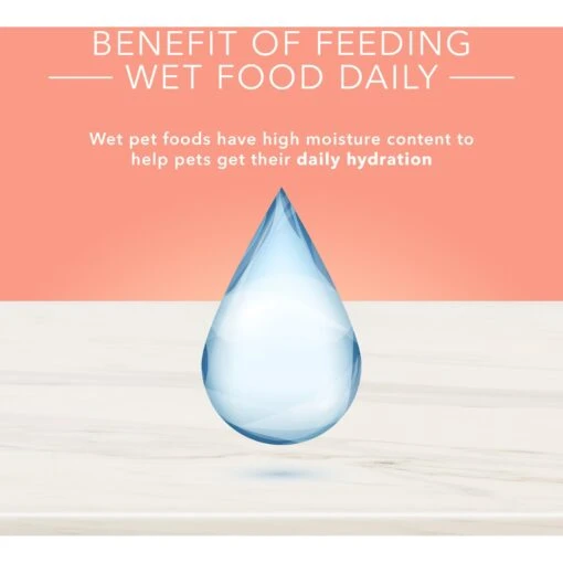 Blue Buffalo Life Protection Formula Large Breed Healthy Weight Adult Chicken & Brown Rice Recipe Dry Dog Food & Blue Buffalo True Solutions Healthy Weight Natural Weight Control Chicken Adult Wet Dog Food -Dog Supplies 367526 PT4. AC SS1800 V1677098024