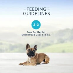 Blue Buffalo Divine Delights Gravy Variety Pack Filet Mignon & NY Strip Flavor Dog Food Trays & Blue Buffalo Divine Delights Roasted Chicken Flavor Hearty Gravy Dog Food Trays -Dog Supplies 367546 PT4. AC SS1800 V1645742806