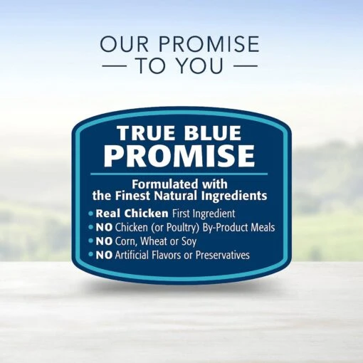 Blue Buffalo Divine Delights Gravy Variety Pack Filet Mignon & NY Strip Flavor Dog Food Trays & Blue Buffalo Divine Delights Roasted Chicken Flavor Hearty Gravy Dog Food Trays -Dog Supplies 367546 PT8. AC SS1800 V1645743114