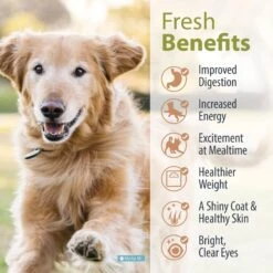 JustFoodForDogs Turkey & Whole Wheat Macaroni Recipe Frozen Human-Grade Fresh Dog Food -Dog Supplies 368093 PT3. AC SS1800 V1696967269