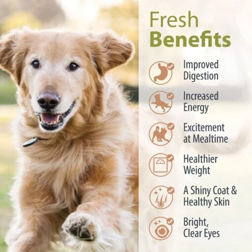 JustFoodForDogs PantryFresh Joint & Skin Support Recipe Fresh Dog Food, 12.5-oz Pouch, Case Of 12 -Dog Supplies 368143 PT5. AC SS1800 V1665174299