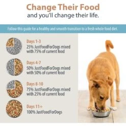 JustFoodForDogs DoItYourself Chicken & White Rice Recipe Fresh Dog Food Recipe & Nutrient Blend -Dog Supplies 368151 PT8. AC SS1800 V1666386149