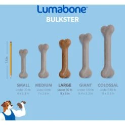 Lumabone Bulkster Beef Flavor Dog Toy -Dog Supplies 370204 PT5. AC SS1800 V1646765525