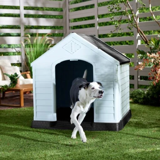 Frisco Plastic Outdoor Dog House With Elevated Platform -Dog Supplies 370363 MAIN. AC SS1800 V1660701207