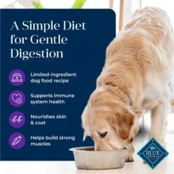 Blue Buffalo Basics Skin & Stomach Care Turkey & Potato Recipe Adult Dry Dog Food -Dog Supplies 46877 PT2. AC SS1800 V1646253690