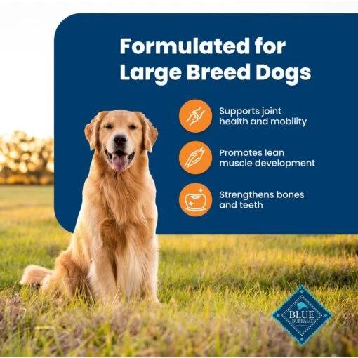 Blue Buffalo Life Protection Formula Large Breed Adult Chicken & Brown Rice Recipe Dry Dog Food -Dog Supplies 46882 PT3. AC SS1800 V1701932657