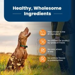 Blue Buffalo Life Protection Formula Large Breed Adult Chicken & Brown Rice Recipe Dry Dog Food -Dog Supplies 46882 PT5. AC SS1800 V1701932656