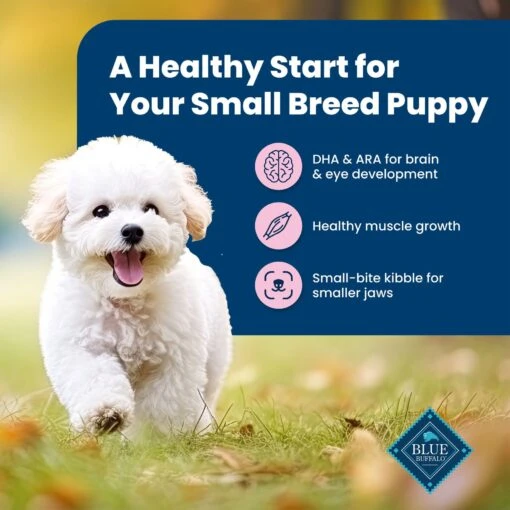 Blue Buffalo Life Protection Formula Small Breed Puppy Chicken & Oatmeal Recipe Dry Dog Food -Dog Supplies 46906 PT3. AC SS1800 V1636149453