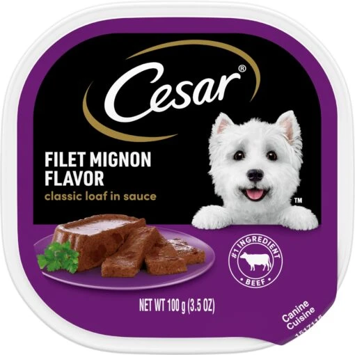 Cesar Classic Loaf In Sauce Filet Mignon Flavor Grain-Free Small Breed Adult Wet Dog Food Trays -Dog Supplies 47083 MAIN. AC SS1800 V1695650082