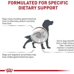 Royal Canin Veterinary Diet Adult Gastrointestinal High Fiber Dry Dog Food -Dog Supplies 48746 PT4. AC SS1800 V1691702784