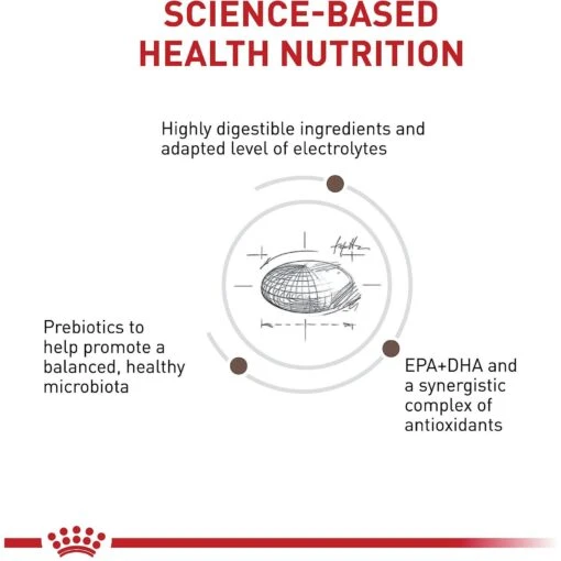 Royal Canin Veterinary Diet Adult Gastrointestinal High Fiber Dry Dog Food -Dog Supplies 48746 PT5. AC SS1800 V1691702757