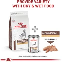 Royal Canin Veterinary Diet Adult Gastrointestinal High Fiber Dry Dog Food -Dog Supplies 48746 PT6. AC SS1800 V1691439983