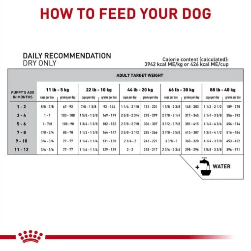 Royal Canin Veterinary Diet Puppy Gastrointestinal Dry Dog Food -Dog Supplies 48749 PT6. AC SS1800 V1691438123