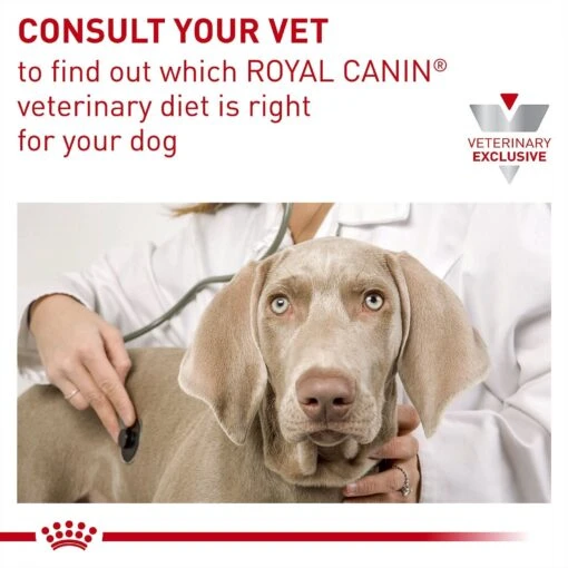 Royal Canin Veterinary Diet Puppy Gastrointestinal Dry Dog Food -Dog Supplies 48749 PT8. AC SS1800 V1691702842