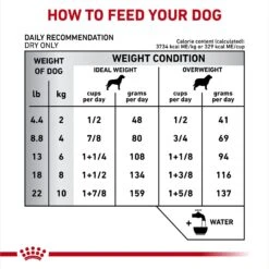 Royal Canin Veterinary Diet Adult Dental Small Breed Dry Dog Food -Dog Supplies 48815 PT6. AC SS1800 V1694464713