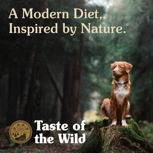 Taste Of The Wild Pacific Stream Smoke-Flavored Salmon Grain-Free Dry Dog Food -Dog Supplies 49067 PT5. AC SS1800 V1641253901