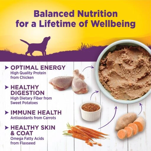 Wellness Complete Health Chicken & Sweet Potato Formula Natural Canned Dog Food -Dog Supplies 49201 PT3. AC SS1800 V1686747709