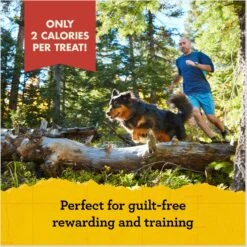 Zuke's Mini Naturals Chicken Recipe Training Dog Treats -Dog Supplies 49395 PT4. AC SS1800 V1690486844