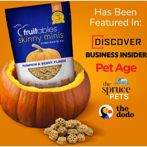 Fruitables Skinny Minis Pumpkin & Berry Flavor Dog Treats -Dog Supplies 50835 PT7. AC SS1800 V1662739198