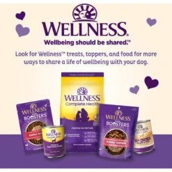 Old Mother Hubbard By Wellness Training Bitz Assorted Mix Natural Oven-Baked Biscuits Dog Treats -Dog Supplies 51166 PT4. AC SS1800 V1657657790