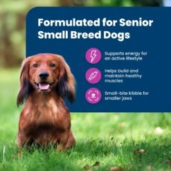 Blue Buffalo Life Protection Formula Small Breed Senior Chicken & Brown Rice Recipe Dry Dog Food -Dog Supplies 51901 PT3. AC SS1800 V1701982095