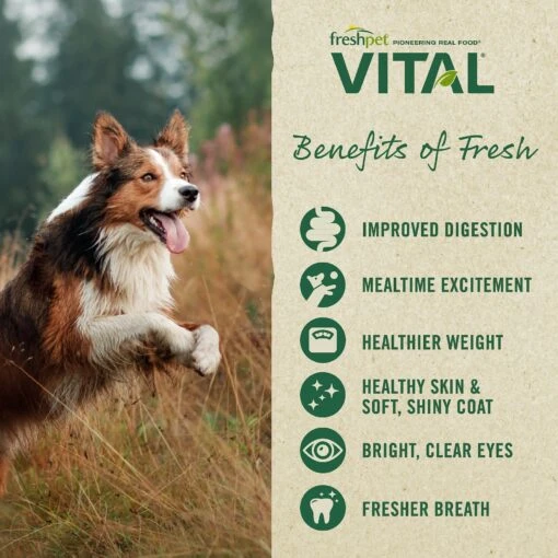 Freshpet Vital Chicken Recipe Fresh Dog Food, 1.75-lb Bag, Case Of 4 -Dog Supplies 519158 PT5. AC SS1800 V1649349816